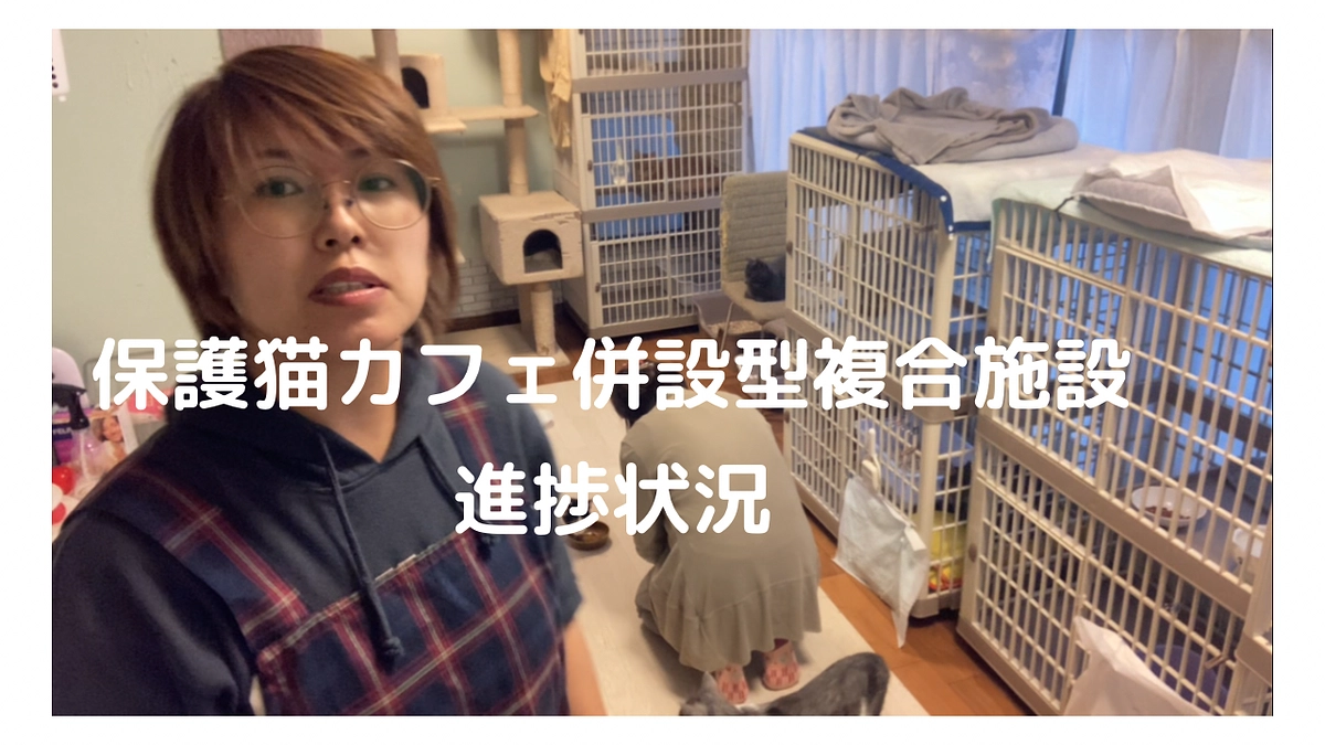 保護猫カフェ併設型複合施設進捗状況