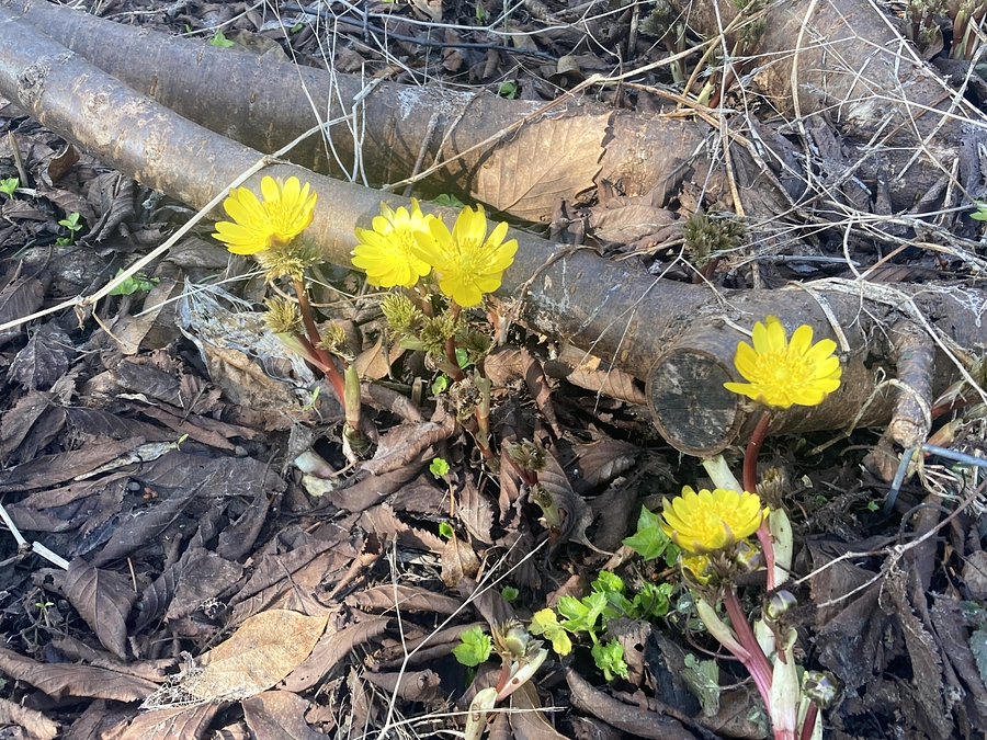 目標金額達成！！