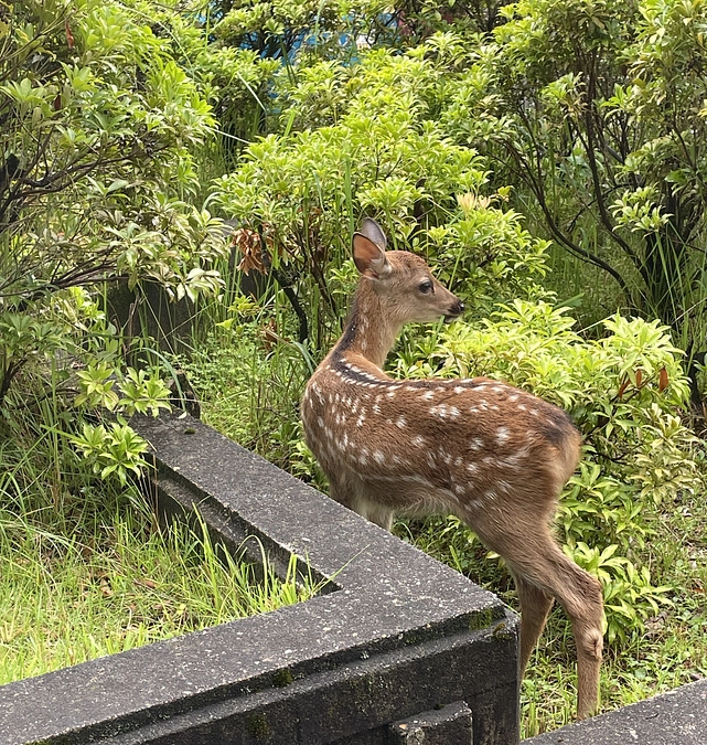 （残り25日！）奈良国立大学機構事務局長・榎本剛より