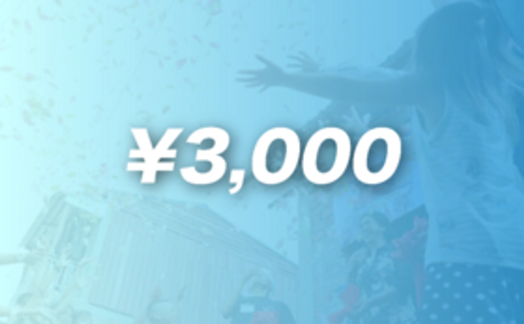 3,000円