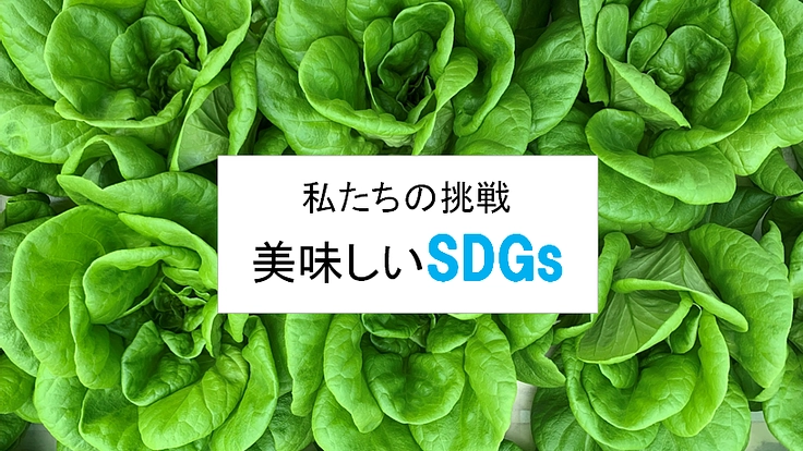 美味しい！がちからに。人と環境に優しい農法で未来に挑戦！
