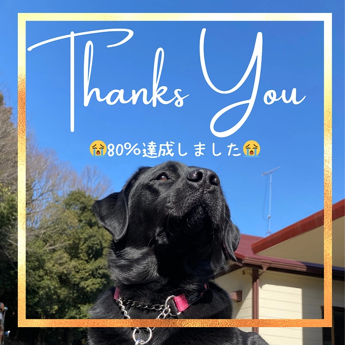 🌟🙇‍♀️80％達成ありがとうございます🙇‍♀️🌟