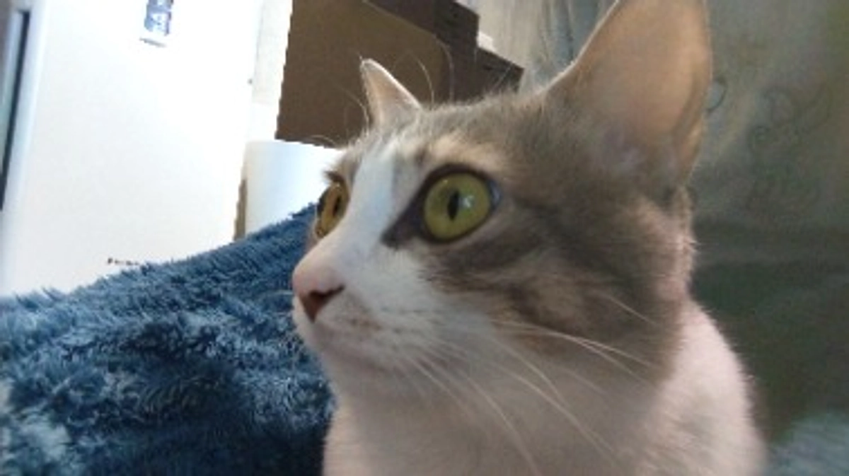 ありがとうございます🙇‍♀️🙇‍♀️