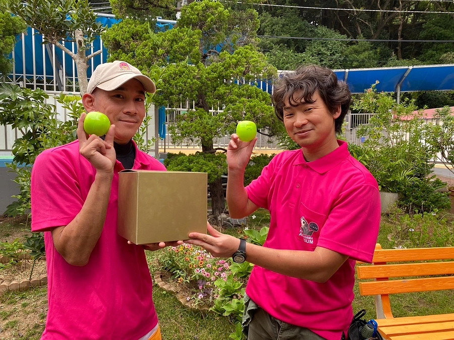 ＼いざ、大抽選会！！/