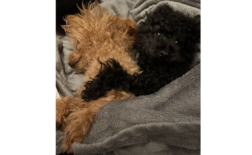 ☆ただただ支援☆