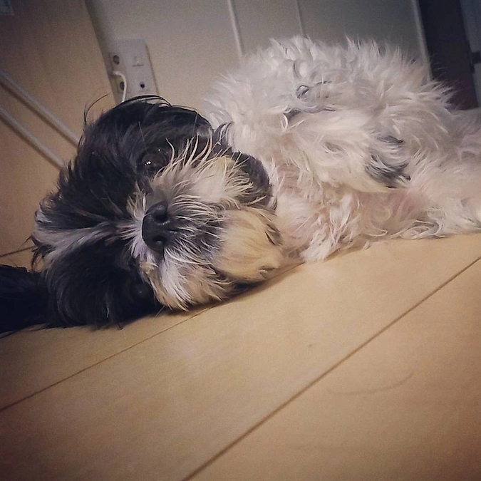 本日もご支援頂きました。