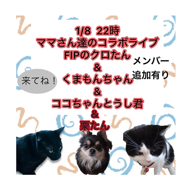 インスタにて本日コラボライブします。