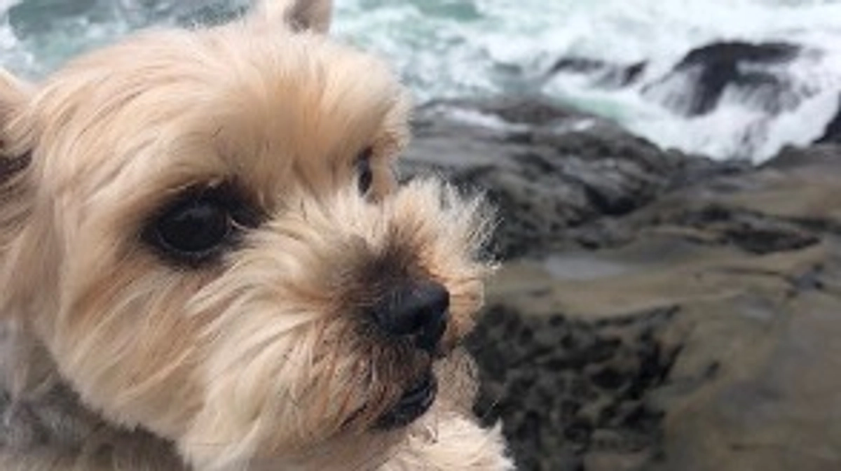 残り57時間です！