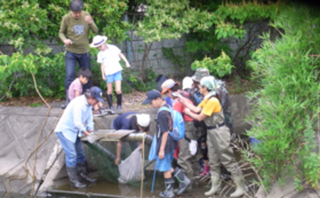 駆除したカメの肉を使ったカメカレー2食お送りします！