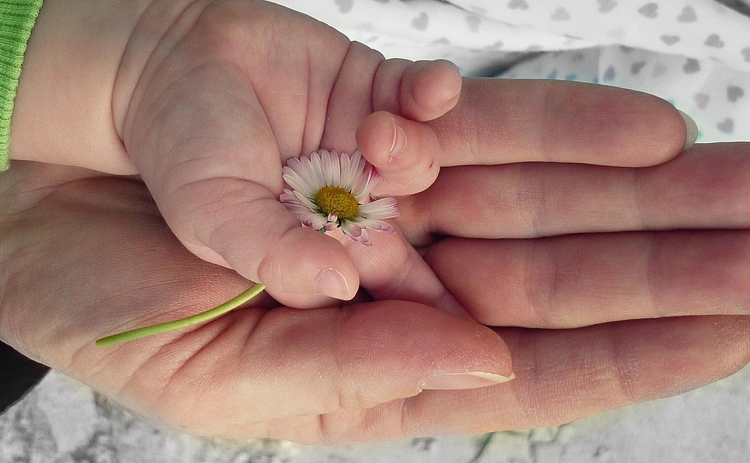 企業様向け 企業名HP掲載 応援コース