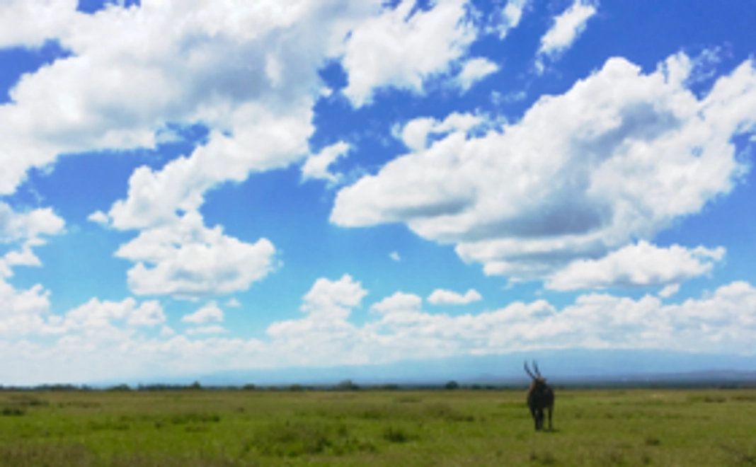 感謝の気持ちを込めたお手紙をお送りします