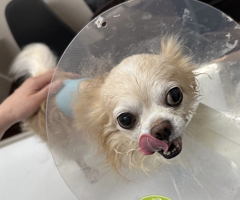 8/11面会に行ってきました。。