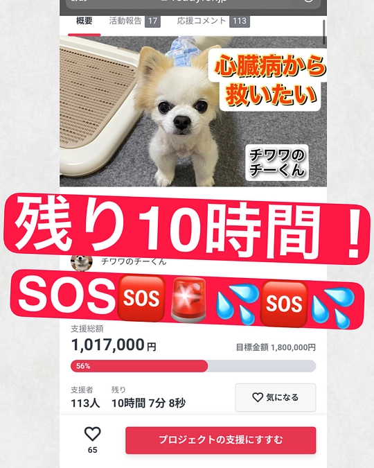 残り10時間‼️あと70万円‼️💦