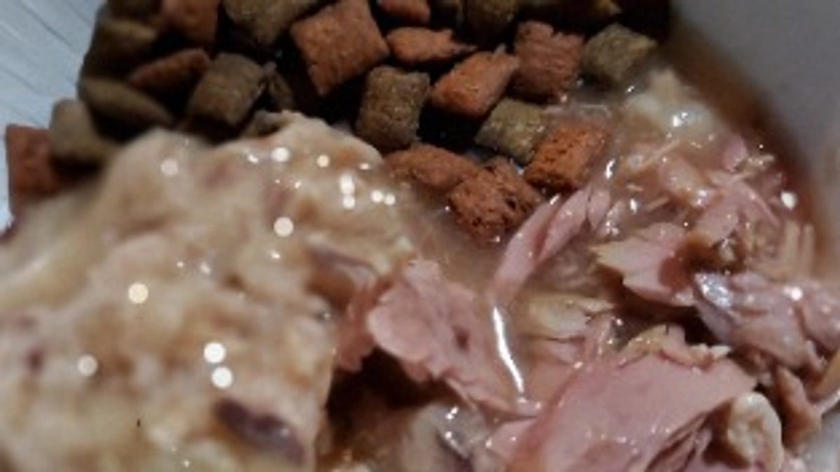 今日(2/7)は風が強くとても寒かったです。