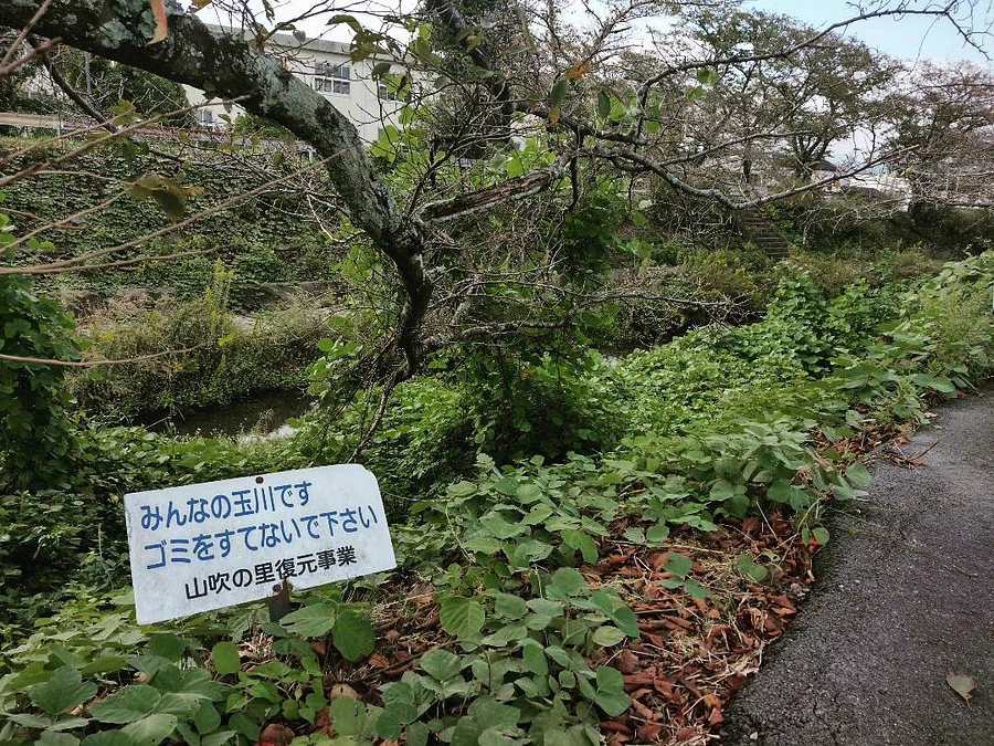 玉川をきれいな場所にするとともに、駅前を観光地化する
