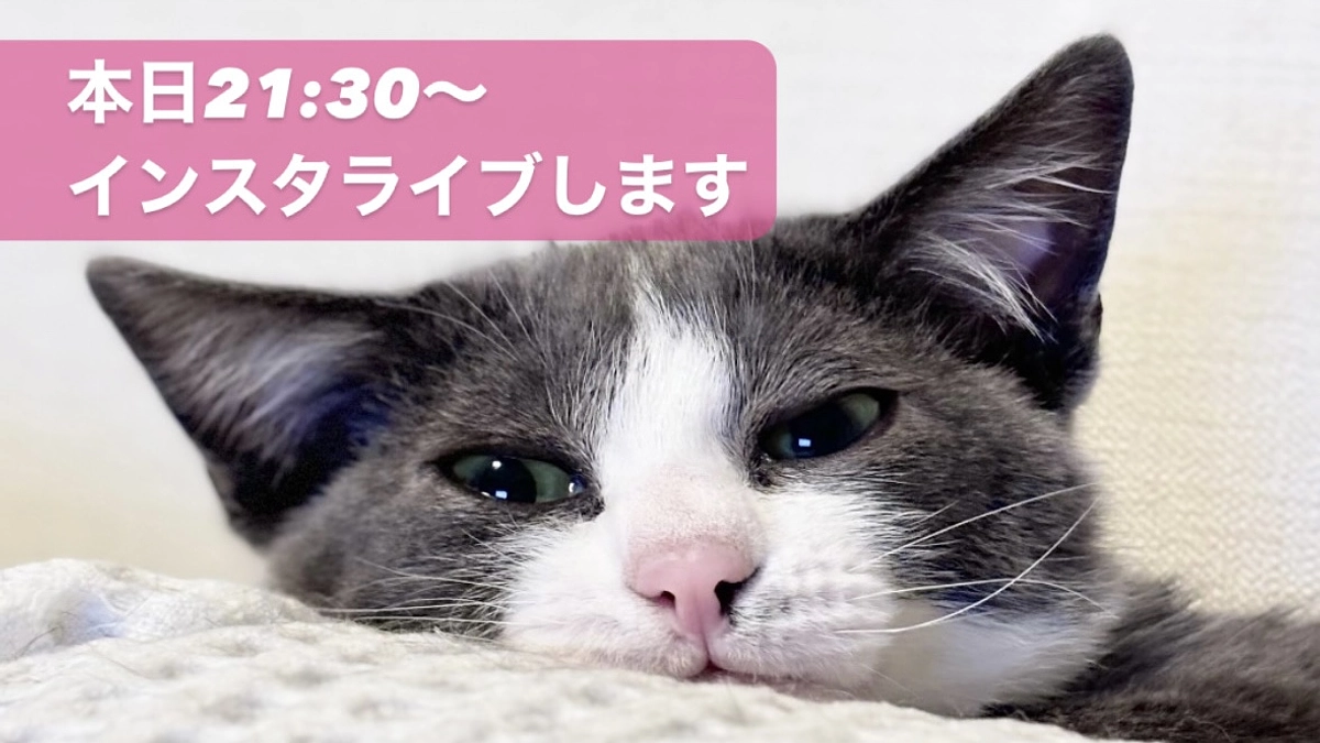 本日２１時半よりインスタLIVEを行います。