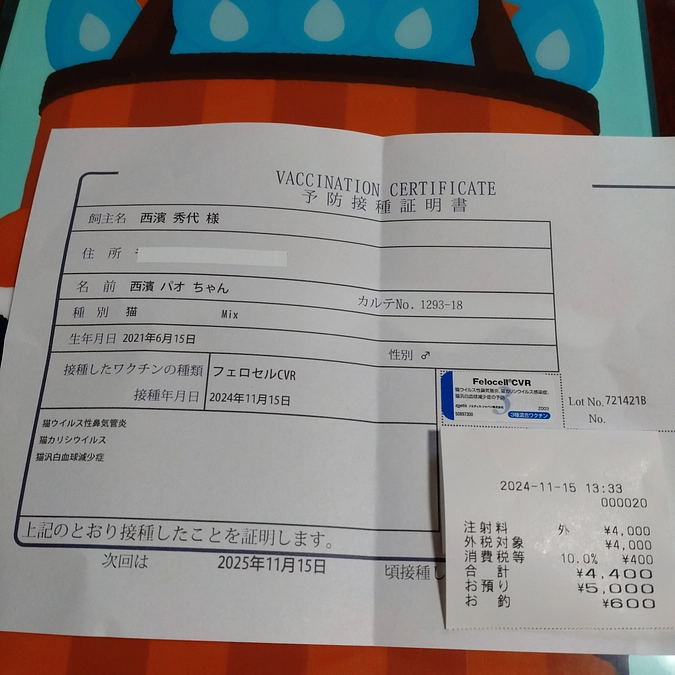 ワクチン接種💉