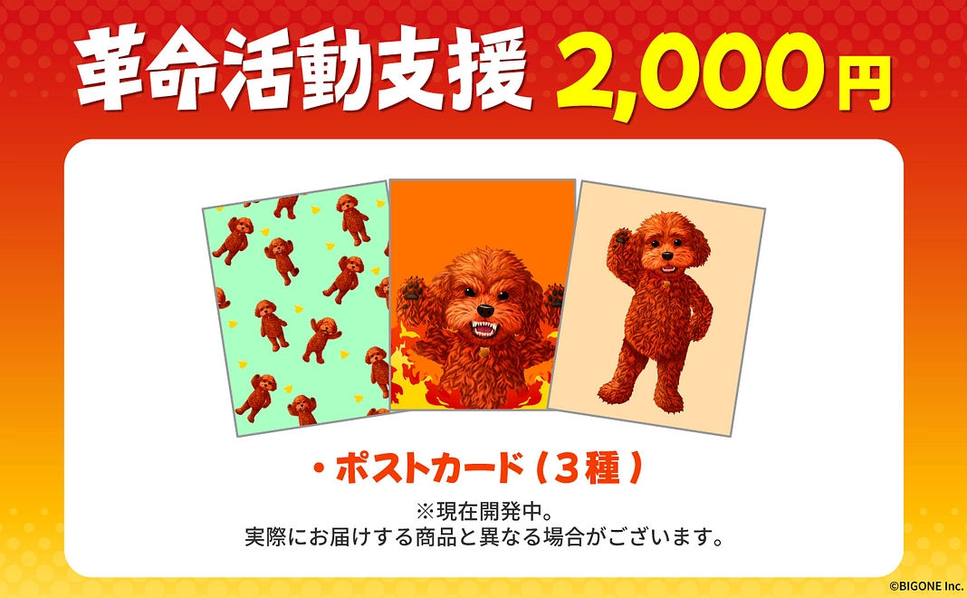 革命活動支援 2000円