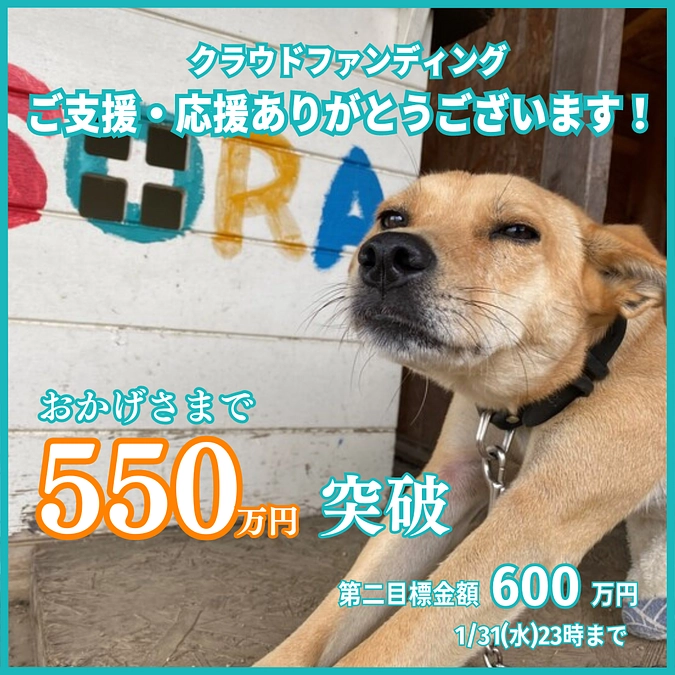 【感謝】550万円を達成しました！