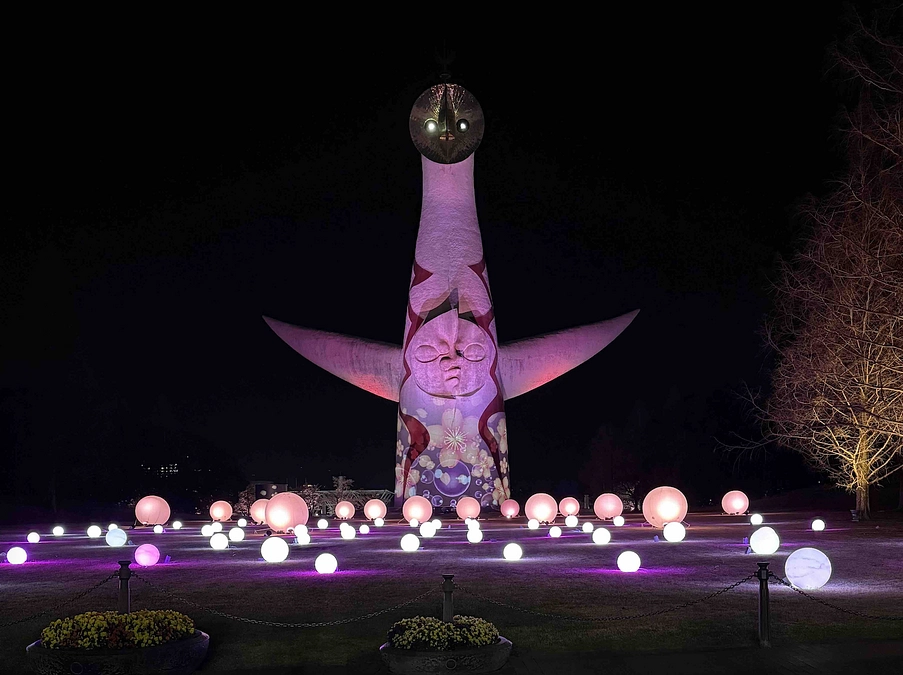 日本の大動脈弁治療の成績