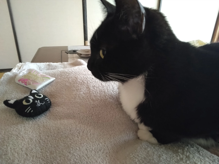 3/1はなちゃんの様子