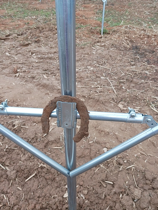 第一目標達成の報告とネクストゴールへ