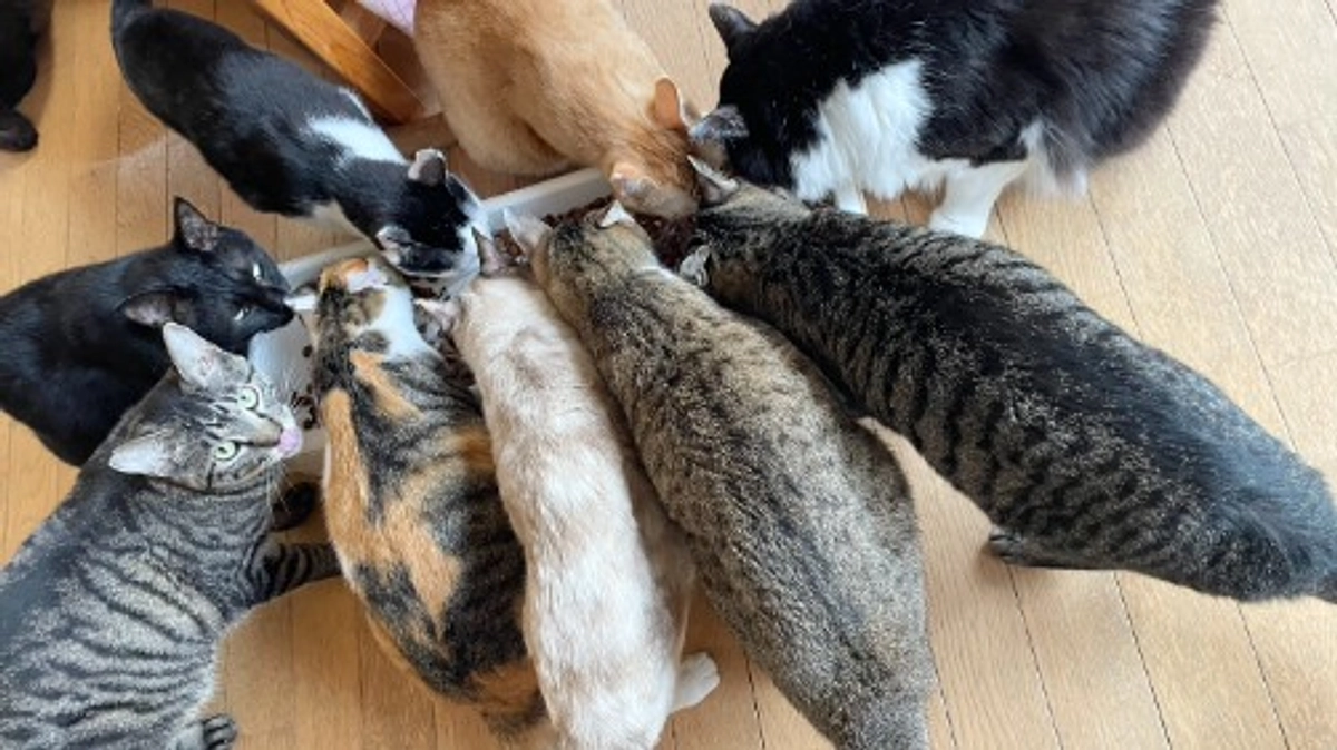 ラストスパートにご支援を！