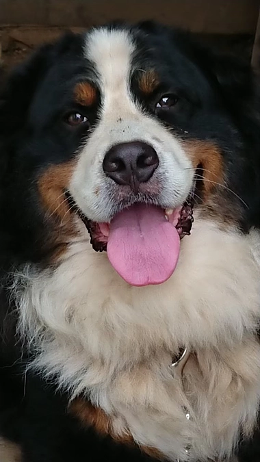 9歳になりました🎉