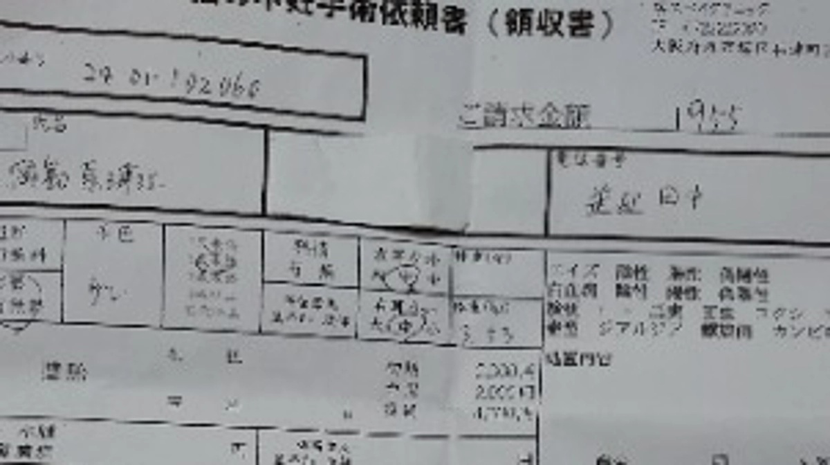どうぶつ基金　チケット
