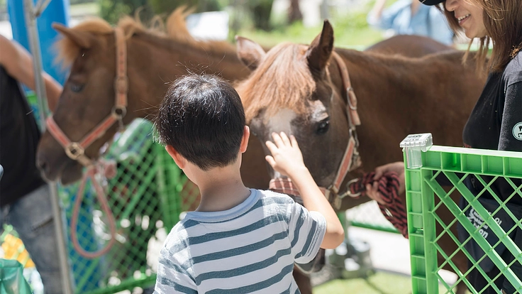 児童養護施設を支援！馬とのふれあいで子供たちを笑顔にしたい 2枚目