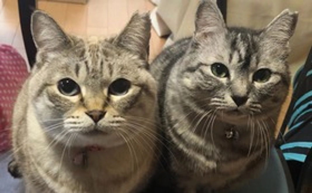 感謝のメールを送ります