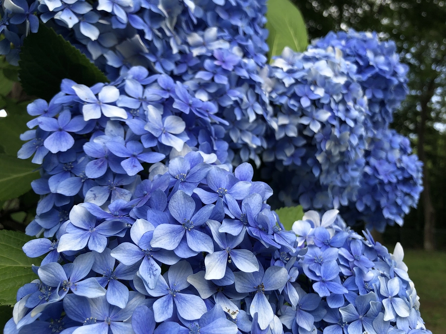 ご支援誠に有難うございました。只今リターン品を準備しています。