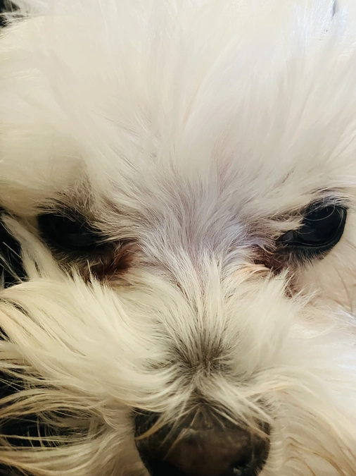 術後1ヶ月検診でした。