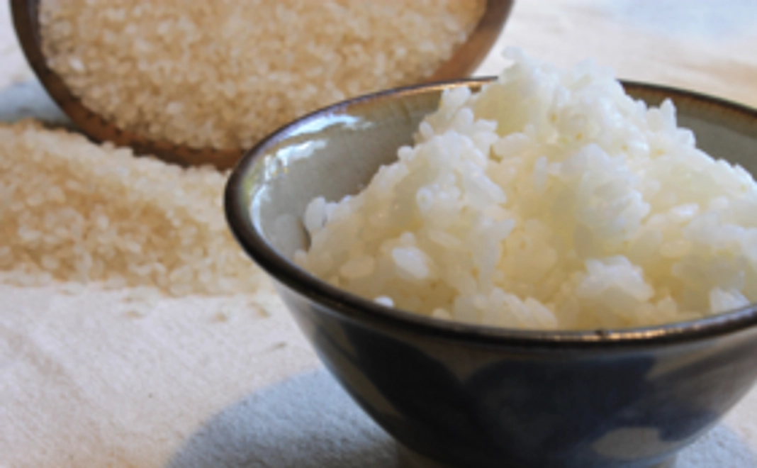 【支援者様限定・六根会員】京都、京北の自然農米2kg