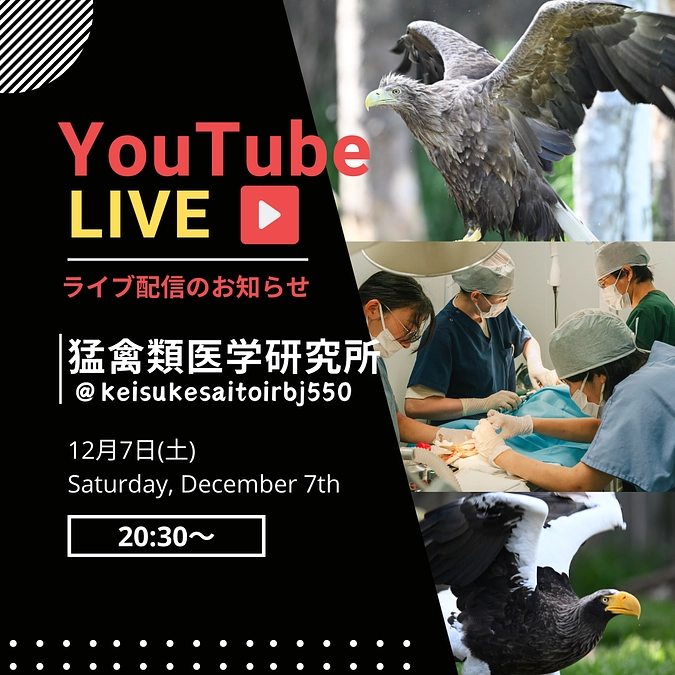 たくさんのご支援、どうもありがとうございます！ 今日20時30分からYouTubeを開催します！