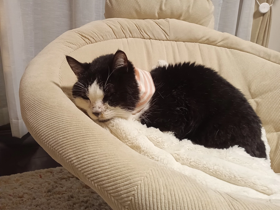 9月時点での収支報告