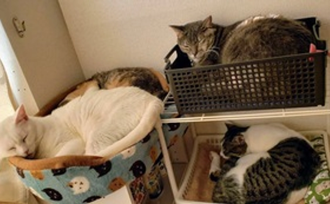 幸せをありがとうカレンダー