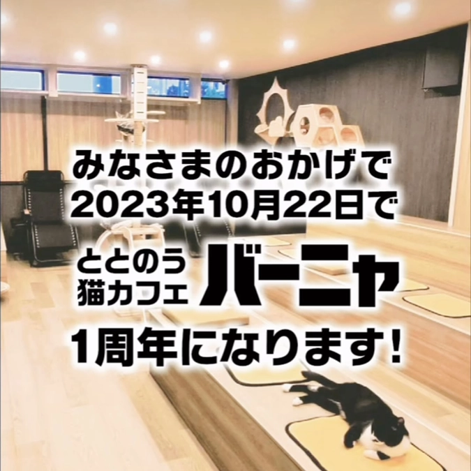 ㊗️1周年を迎える事が出来ました🎉