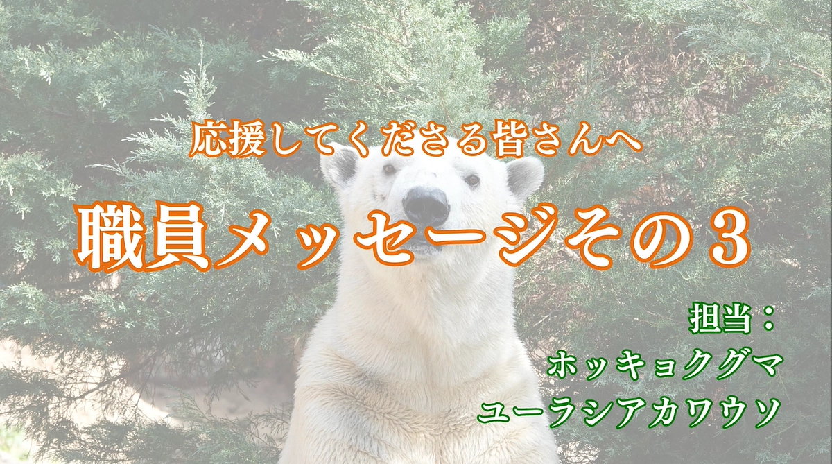 職員からみなさまへ　～ホッキョクグマ、ユーラシアカワウソ担当からのメッセージ～