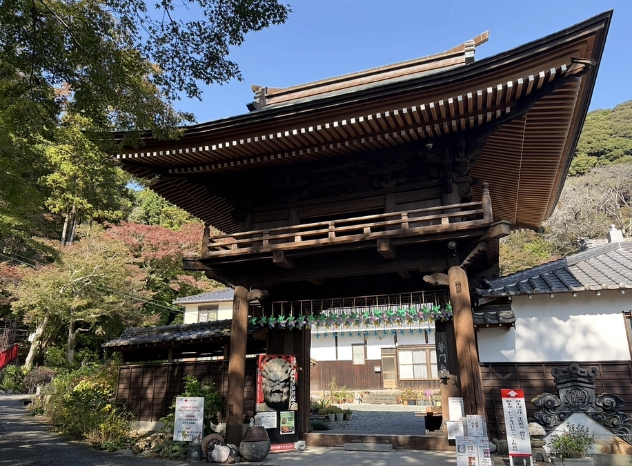 支援率60%を超えました！