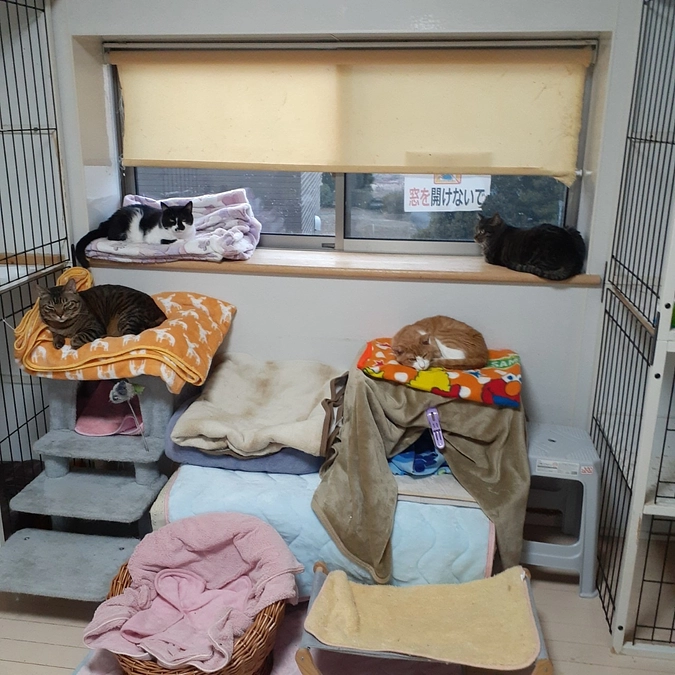 早速、ご支援してくださった皆様ありがとうございます！