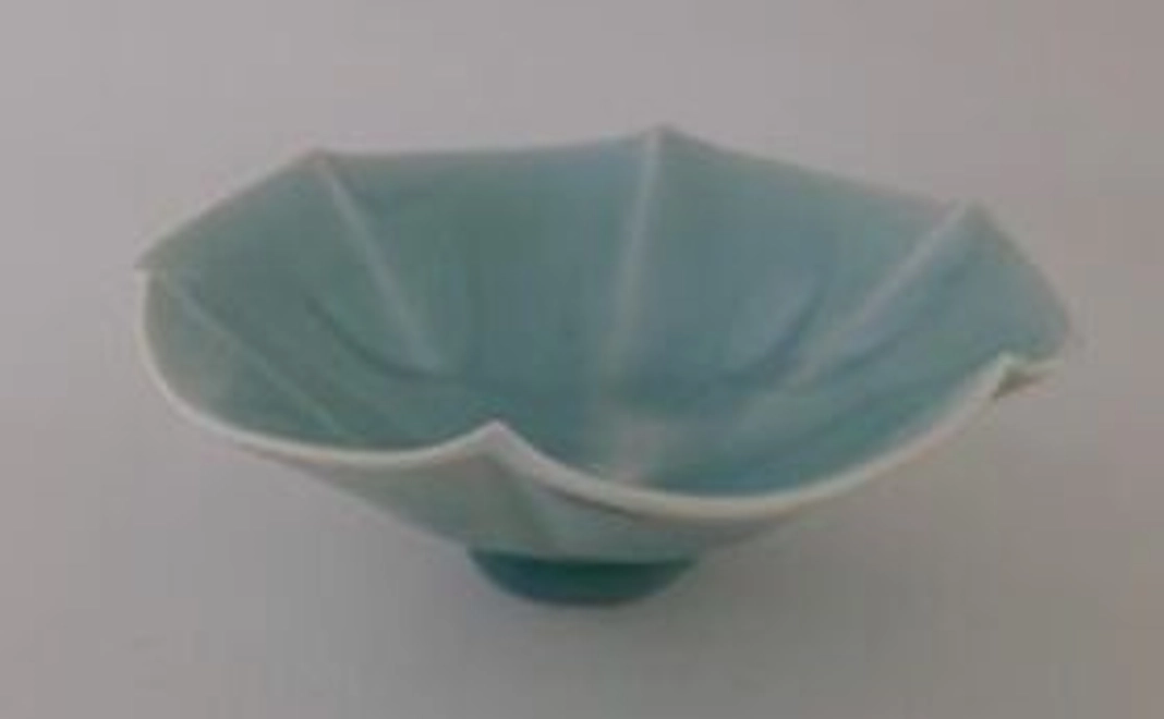 プロジェクトの様子をおさめた動画の公開