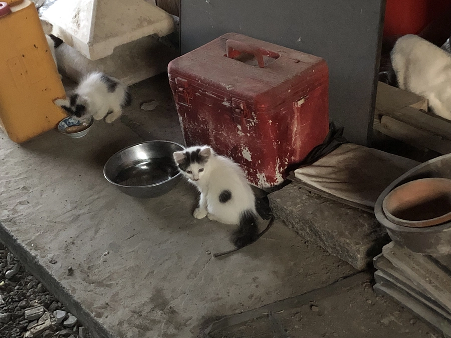 第一目標最終日