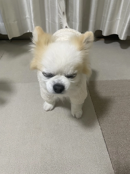 3回目の事後検診に行ってまいりました‼️