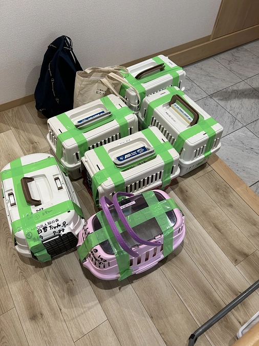 5月14日の活動報告に掲載した多頭飼育崩壊からの引き取り