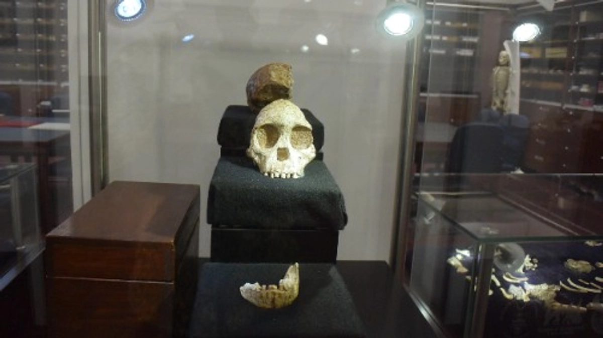 ネクストゴールは１１１万円