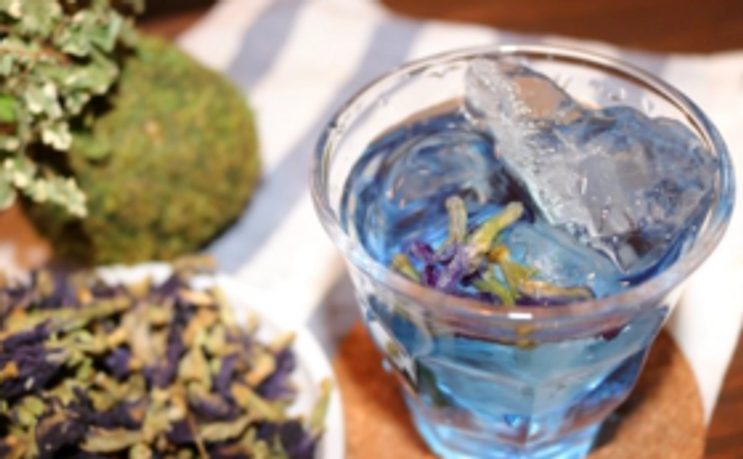 【もっと応援プラン】バタフライピーをお送りします。