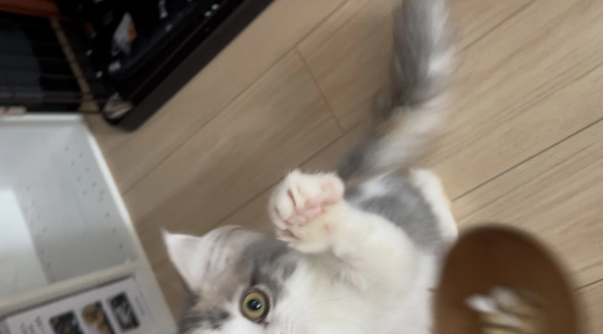 毎日お薬がんばる ねるちゃん えらい！