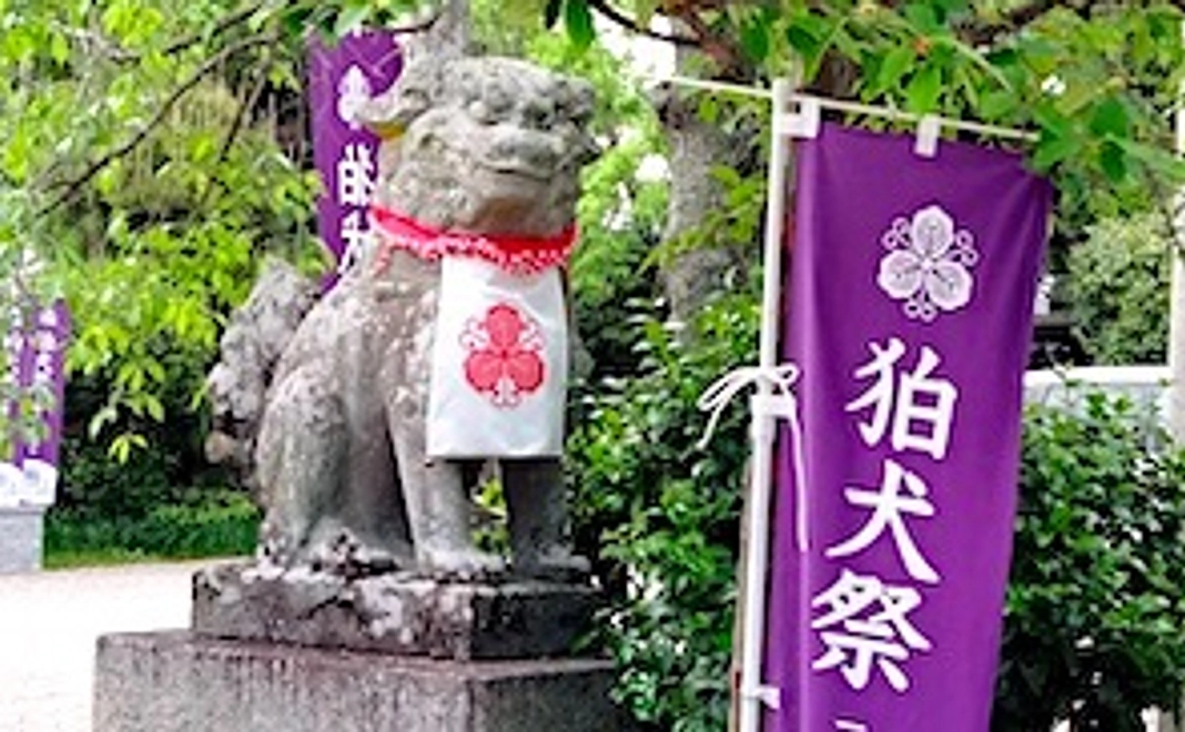 ☆ ご祝儀コース・梅