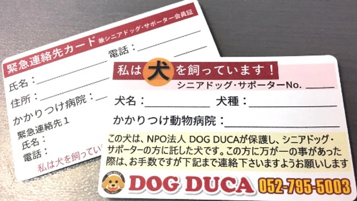 【残り６日！】いただいた「シニアドッグサポーター」へのギモン×５に答えます！